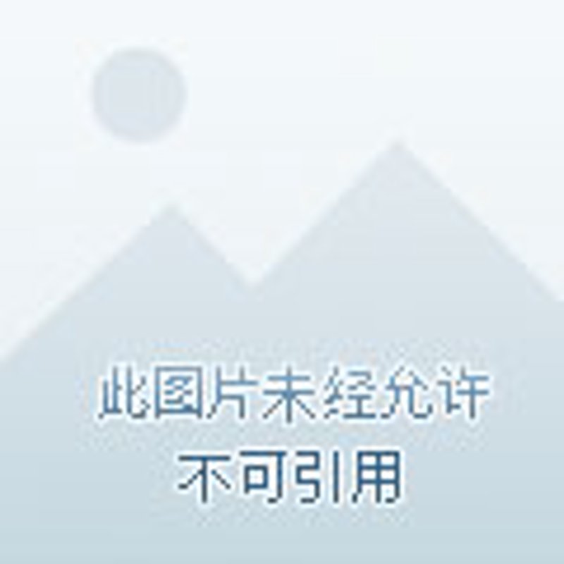 知棱实业：如何构建坚实的信任基石